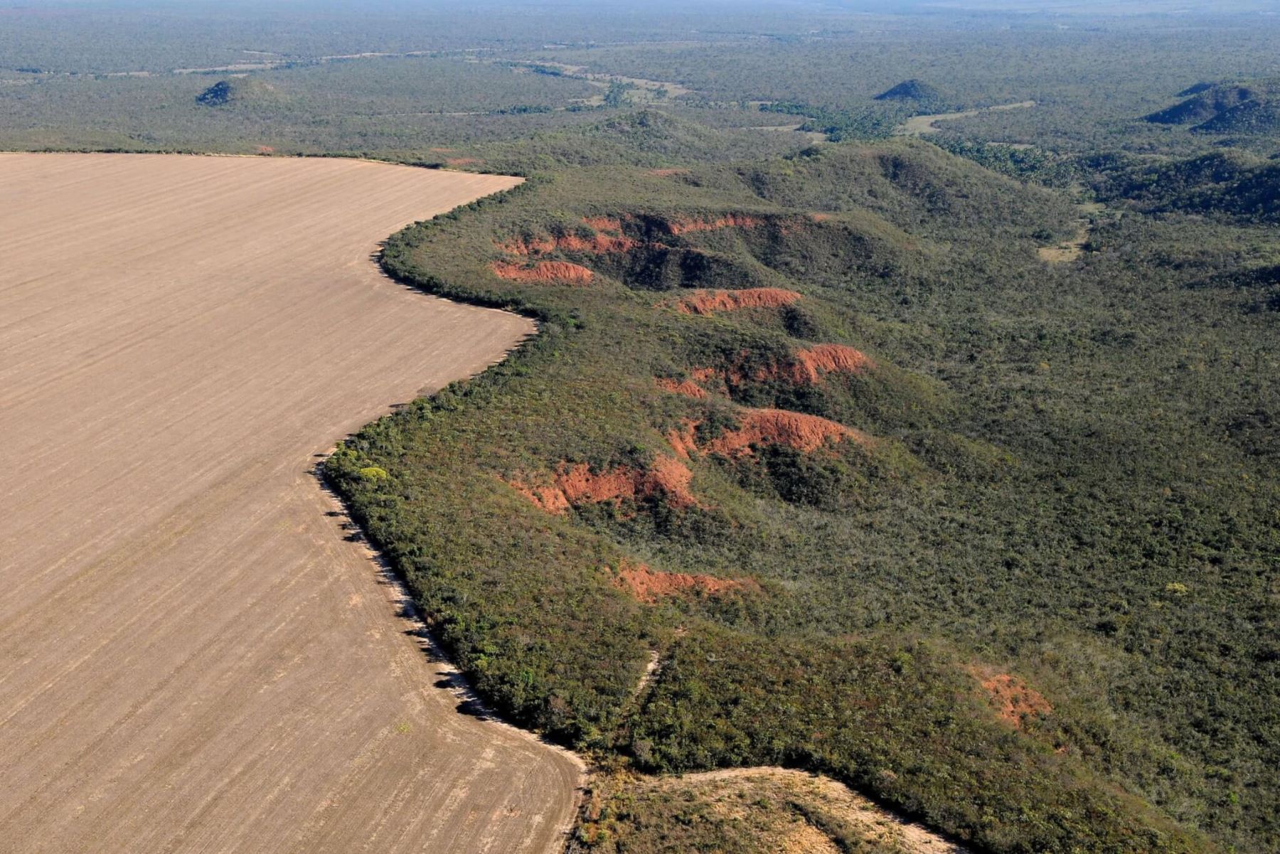 Área desmatada no Cerrado para dar lugar à agricultura: Matopiba, mesmo com desmatamento acelerado, ainda concentra quase metade da vegetação nativa do bioma (Foto: Adriano Gambarini / WWF)