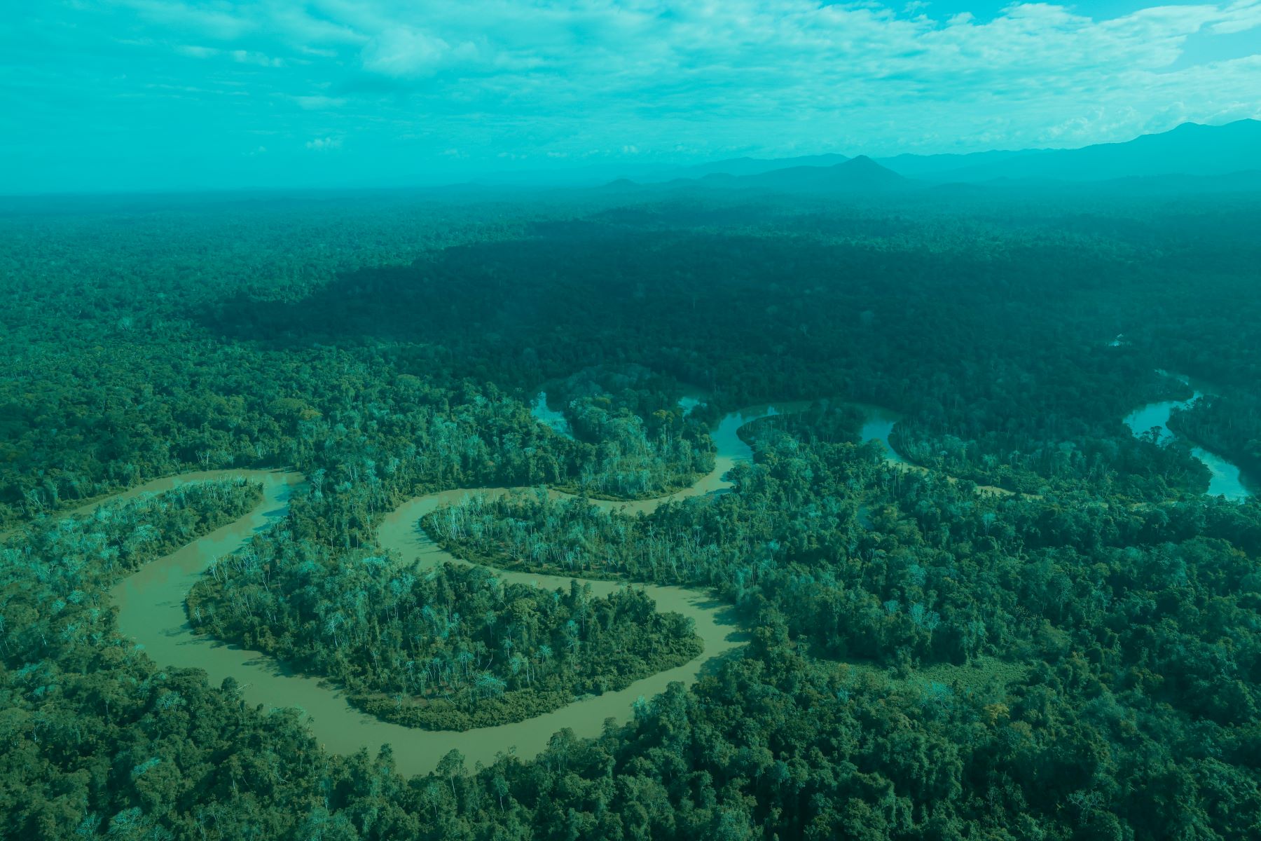 Fundo para florestas é aposta do Brasil para a COP30