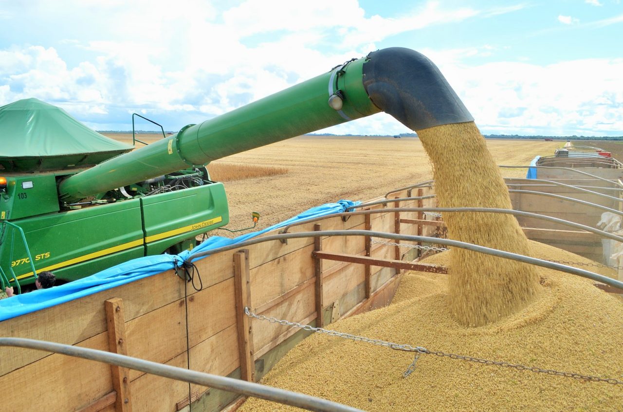Colheita de soja no município de Vilhena: agronegócio avança junto com desmatamento (Foto: Dhiony Costa e Silva / Governo de Rondônia)