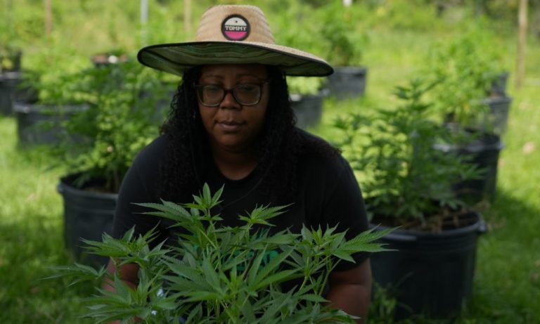 Foto colorida de Marilene da Silva Lima de Oliveira. Ela é uma mulher negra, com cabelo preto longo e cacheado. Ela usa óculos e um chapéu de palha. Ela aparece agachada diante de uma muda de cannabis - maconha. Ao fundo, outras plantas de maconha