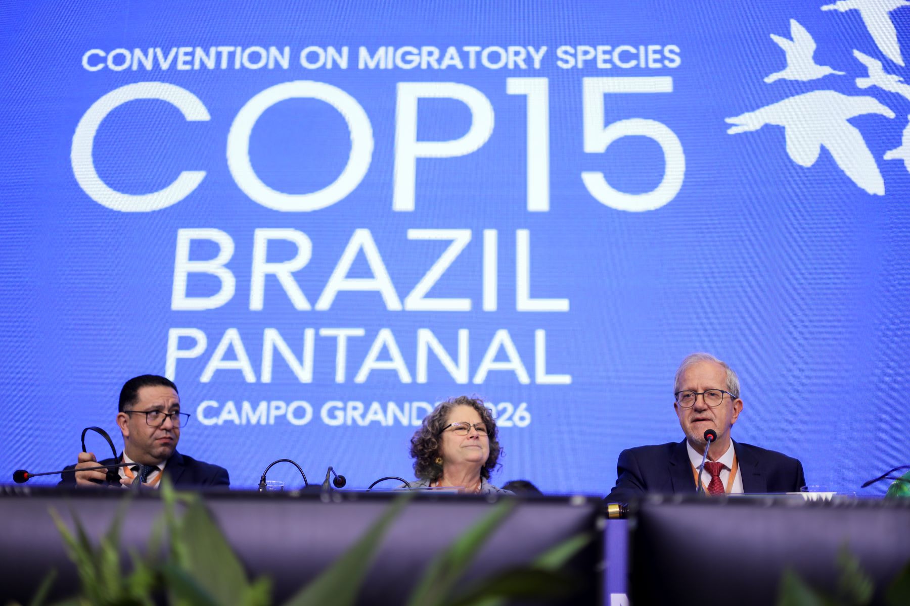 João Paulo Capobianco fala na plenária final da COP15, em Campo Grande: Onças, tubarões, tartarugas marinhas e aves passam a ter novas medidas protetivas (Foto: Ueslei Marcelino / MMA)