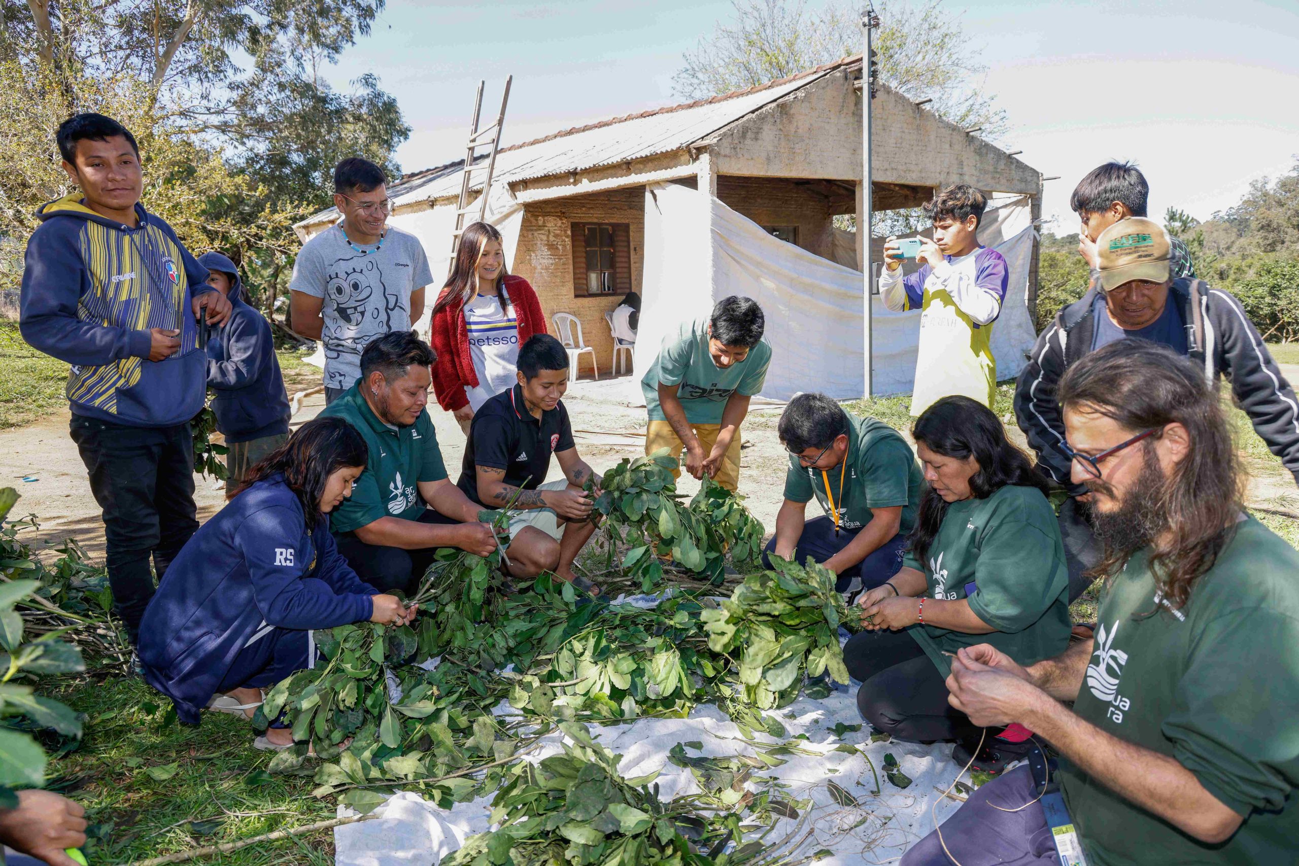 Foto colorida que mostra indígenas guarani reunidos realizando separação de folhas de erva-mate na Tekoá Anhetenguá, em Porto Alegre. Ação faz parte do Projeto Ar Água e Terra