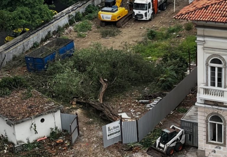 Árvore derrubada em terreno na Zona Sul do Rio: corte de dezenas de árvores na cidade revela falta de fiscalização para medidas compensatórias que também ignoram importância dos microclimas (Foto: Reprodução / Redes Sociais Flama)