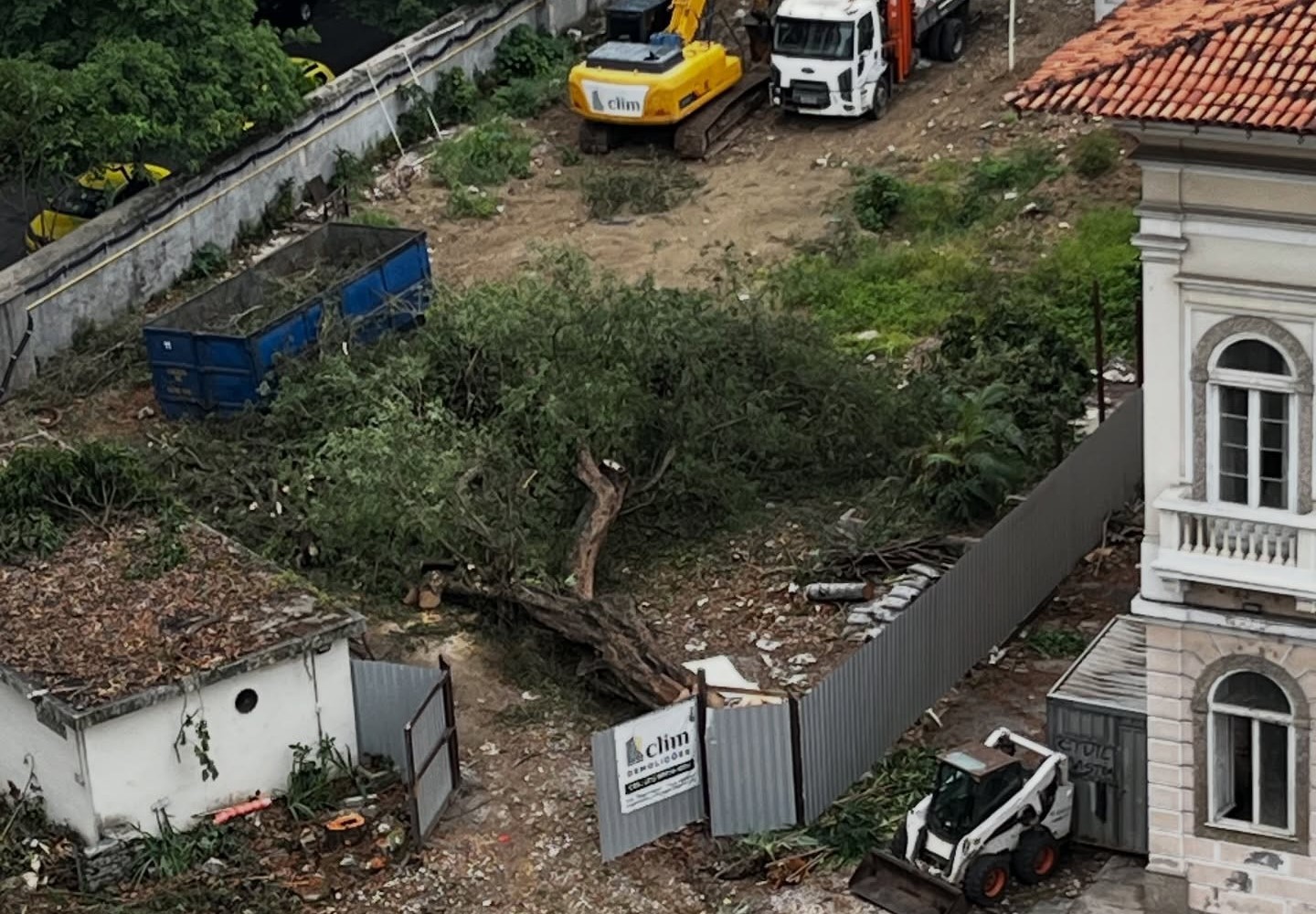 Árvore derrubada em terreno na Zona Sul do Rio: corte de dezenas de árvores na cidade revela falta de fiscalização para medidas compensatórias que também ignoram importância dos microclimas (Foto: Reprodução / Redes Sociais Flama)