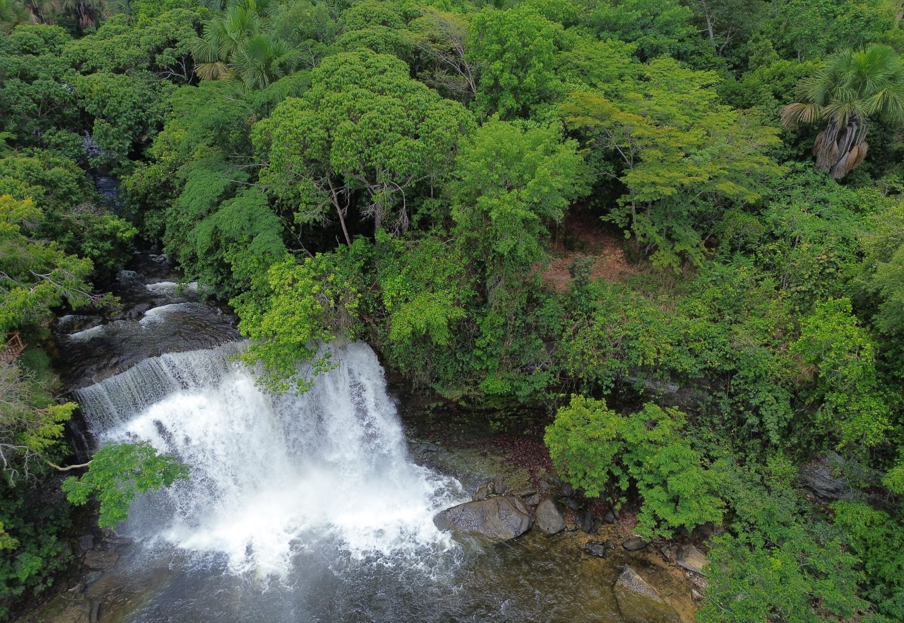 Área de Cerrado no Maranhão: pesquisa mostra que áreas úmidas do bioma estocam mais carbono do que as florestas da Amazônia (Foto: Fernando Frazâo / Agência Brasil - 12/10/2025)