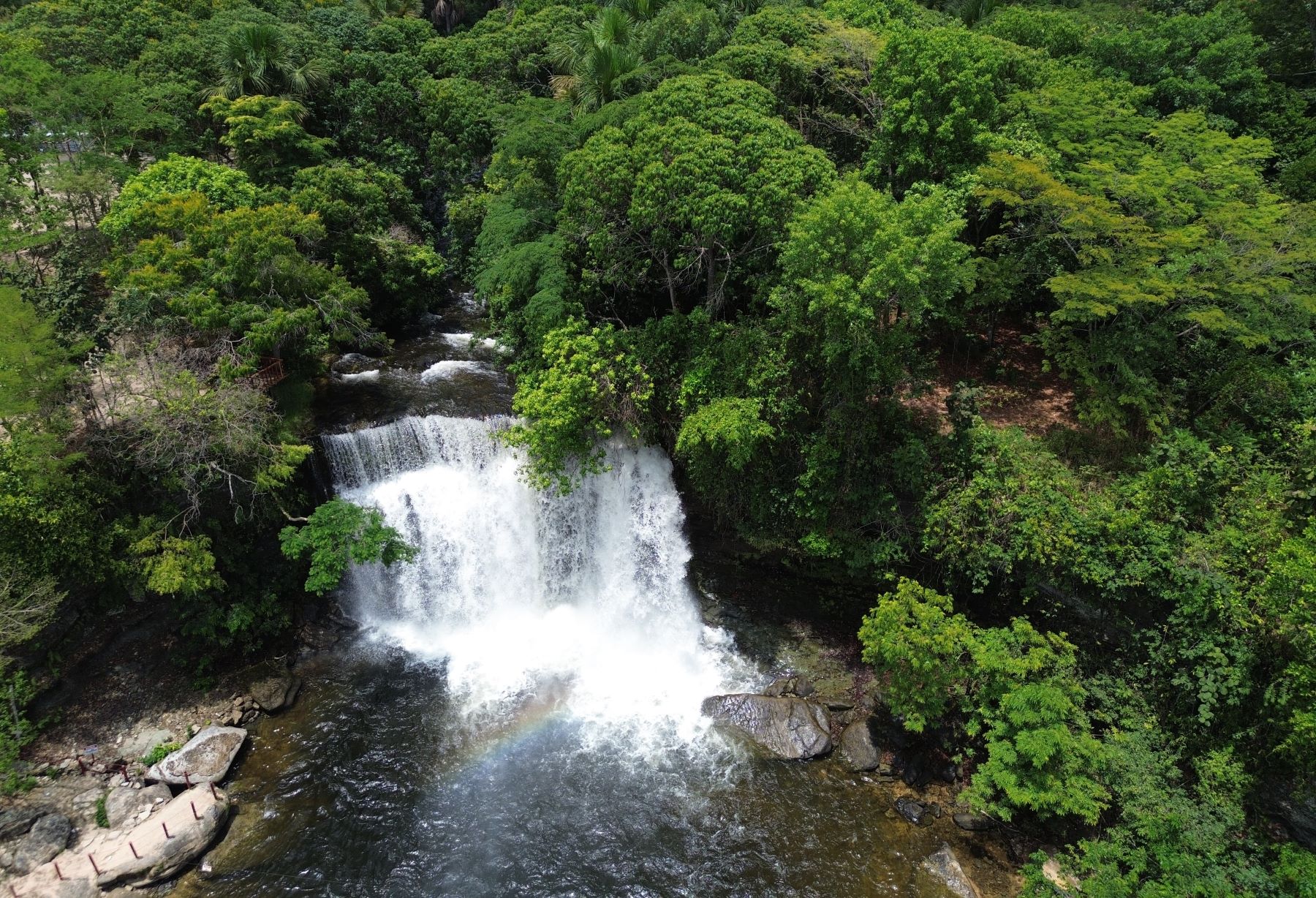 Área de Cerrado no Maranhão: bioma está no centro da crise hídrica brasileira (Foto: Fernando Frazâo / Agência Brasil - 12/10/2025)